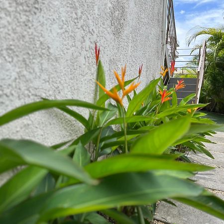 Cosy 2 Bedrooms Apts In Pereybere -Seasons Break Apartment Pereybere Beach ภายนอก รูปภาพ