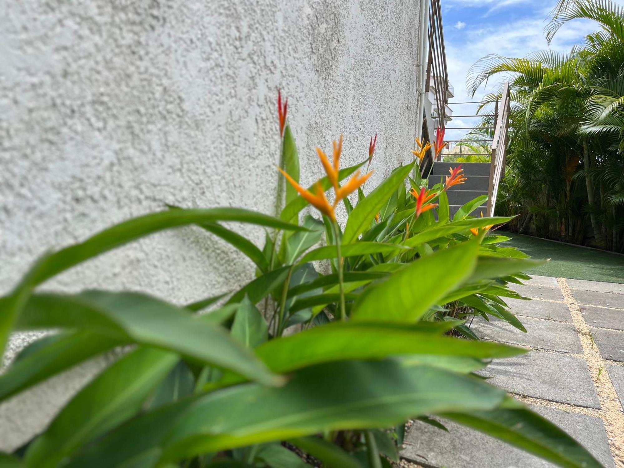 Cosy 2 Bedrooms Apts In Pereybere -Seasons Break Apartment Pereybere Beach ภายนอก รูปภาพ